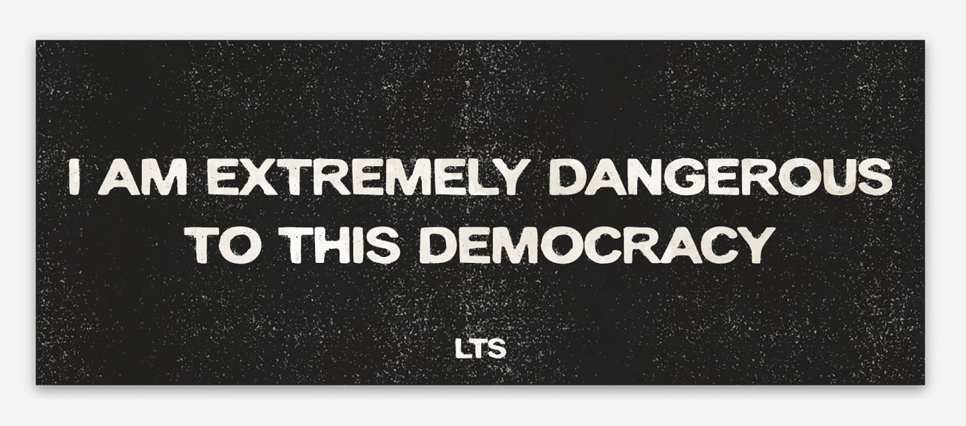 Danger to Democracy Slap