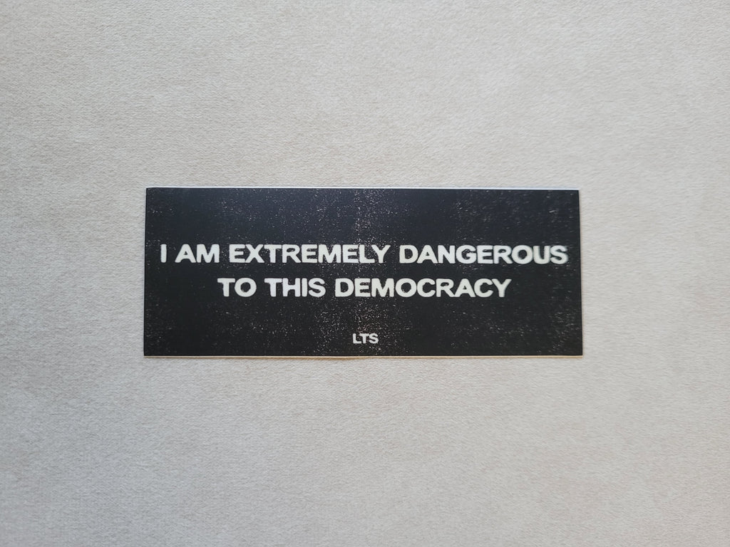 Danger to Democracy Slap