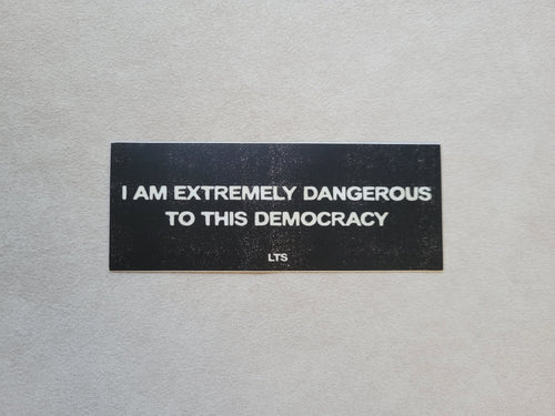 Danger to Democracy Slap